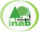 Inab (instituto Nacional De Bosques) - Oficinas Centrales