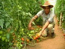 Cooperativa Flor Chimalteca