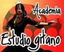 Academia Estudio Gitano