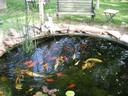 Jardín Acuático
