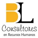 Bl Consultores, S.a.