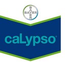 Calypso Aves Y Mascotas - Pradera Concepción