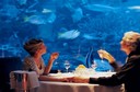Hotel Y Restaurante Submarino