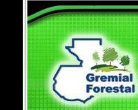 Gremial Forestal