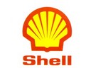 Shell Amatique