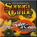 Marimba Orquesta Sonora Del Caribe