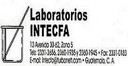 Intecfa, S.a.