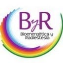 Bioenergetica Y Radiestesia