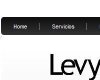 Levy International
