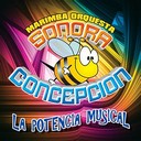 Marimba Orquesta Sonora Concepción