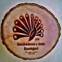 Incubadoras Y Aves Baumgart