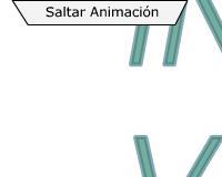 Ingenieros Valuadores S.a.