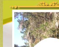 Jardin Los Lirios