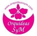 Orquídeas S Y M - Antigua