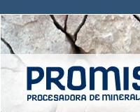 Promisa