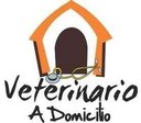 Servicio Veterinario A Domicilio