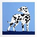Serigrafia Dalmata