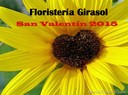 Floristeria Girasoles